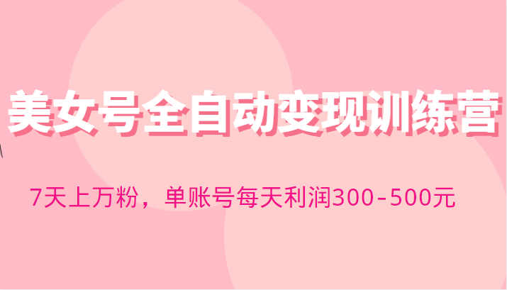 快手美女号全自动变现训练营，7天上万粉，单账号每天利润300-500元-颜夕资源网-第17张图片