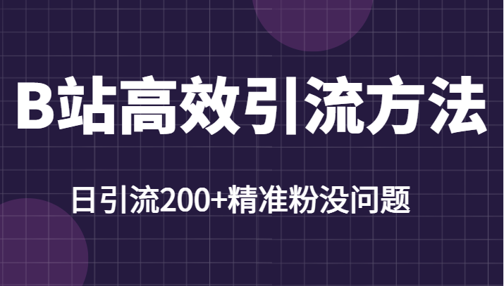 B站高效引流方法，学会这一招，日引流200+精准粉没任何问题-颜夕资源网-第17张图片
