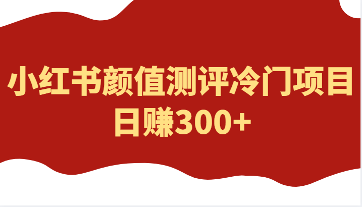 外面4980的项目，小红书颜值测评冷门项目，日赚300+-颜夕资源网-第17张图片