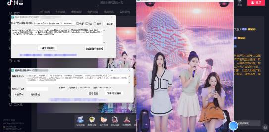 新电脑版抖音/快手/B站直播源获取+直播间实时录制+直播转播【软件+教程】-颜夕资源网-第17张图片