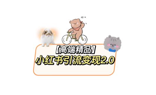 小红书最新引流变现2.0教程，全网最新最详细的视频教程+素材-颜夕资源网-第17张图片