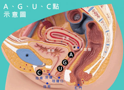 妹子的“G、A、C、U”点都在哪里？有什么作用？-颜夕资源网-第19张图片