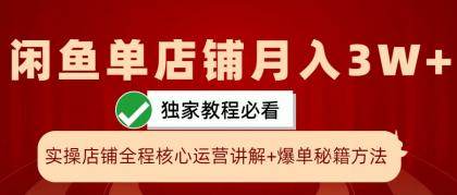 闲鱼单店铺月入3W+实操展示，爆单核心秘籍，一学就会-颜夕资源网-第19张图片