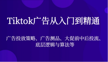 Tiktok广告从入门到精通，广告投放策略、广告测品、大促前中后投流、底层逻辑与算法等-颜夕资源网-第19张图片