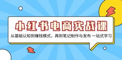 小红书电商实战课，从基础认知到赚钱模式，再到笔记制作与发布 一站式学习-颜夕资源网-第19张图片