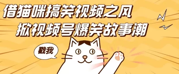 借猫咪搞笑视频之风，掀视频号爆笑故事潮，轻松日入四位数，无门槛快速入门!-颜夕资源网-第19张图片