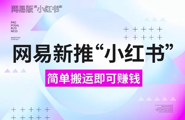 网易“小红书”版，搬运即有收益，新手小白千万别错过(附详细教程)-颜夕资源网-第20张图片
