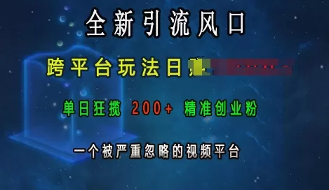 引流风口，跨平台玩法日入上k，单日200+创业粉，一个被严重忽略的视频平台-颜夕资源网-第20张图片