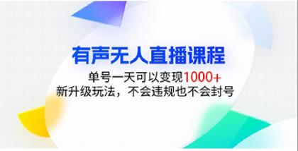有声无人直播课程，单号一天可以变现1000+，新升级玩法，不会违规也不会封号-颜夕资源网-第19张图片