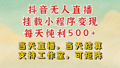 抖音无人挂机项目，轻松日入500+,挂载小程序玩法，不违规不封号，有号的一定挂起来-颜夕资源网-第19张图片