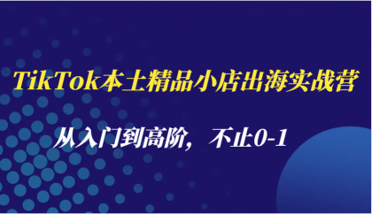 TikTok本土精品小店出海实战营，从入门到高阶，不止0-1-颜夕资源网-第19张图片