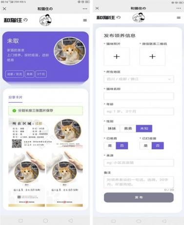 流浪猫流浪狗领养源码-颜夕资源网-第20张图片