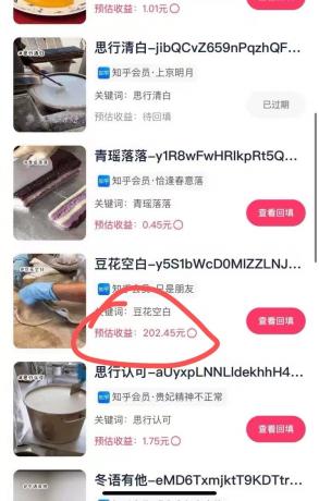 代发视频，简单易上手 3分钟发一条视频 纯小白实操日入202元-颜夕资源网-第20张图片