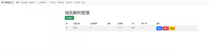 迅风DNS二级域名分发程序开心版-颜夕资源网-第21张图片