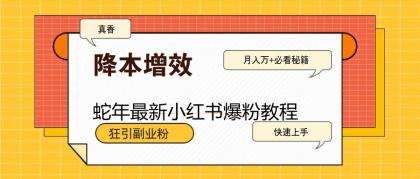 蛇年最新小红书爆粉教程，狂引副业粉，月入万+必看-颜夕资源网-第19张图片