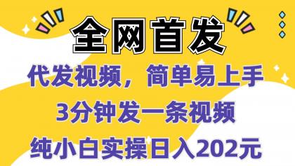 代发视频，简单易上手 3分钟发一条视频 纯小白实操日入202元-颜夕资源网-第19张图片