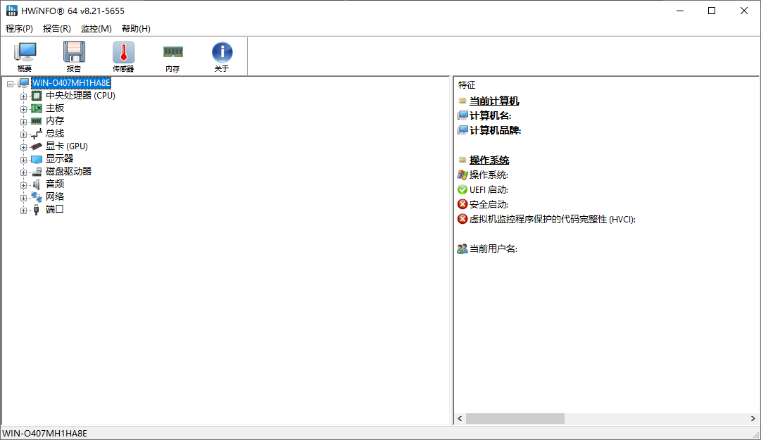 HWiNFO 专业系统信息诊断工具 v8.21.5655 便携版-颜夕资源网-第19张图片