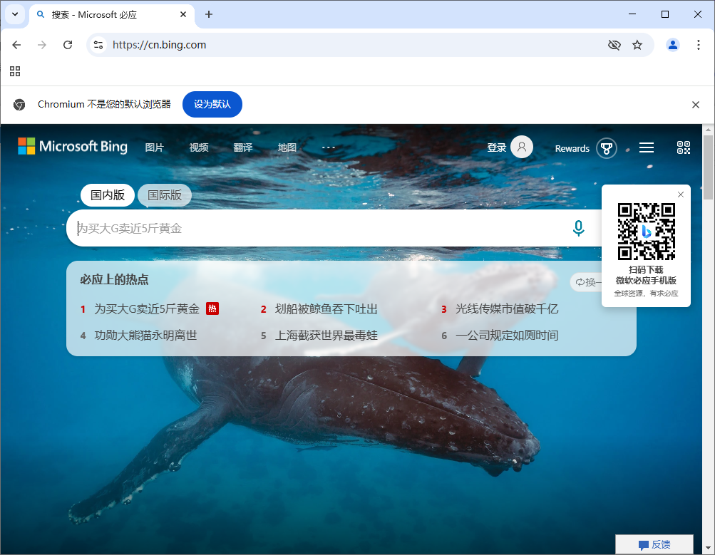 Ungoogled-Chromium v133.0.6943.98-1.1 中文绿色版-颜夕资源网-第19张图片