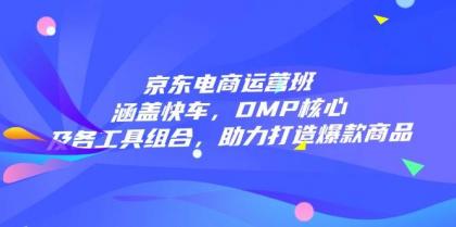 京东电商运营班：涵盖快车，DMP核心及各工具组合，助力打造爆款商品-颜夕资源网-第19张图片