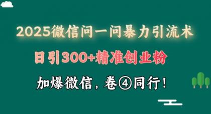 2025最新微信问一问暴力行为引流术揭密，日引300 自主创业粉，单日转现四位数-颜夕资源网-第19张图片