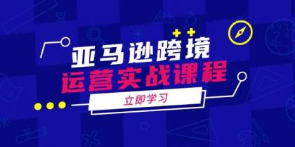 亚马逊跨境运营实战课程：涵盖亚马逊运营、申诉、选品等多个方面-颜夕资源网-第19张图片
