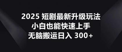 2025短剧最新升级玩法，小白也能快速上手，无脑搬运日入300+-颜夕资源网-第19张图片