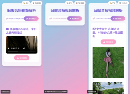 全新二次元聚合短视频解析去水印系统源码 自适应双端-颜夕资源网-第19张图片