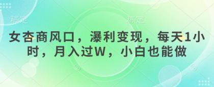 女杏商出风口，瀑利转现，每日1钟头，月入了W，新手也可以做-颜夕资源网-第19张图片