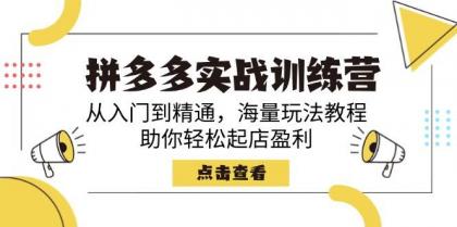 拼多多实战训练营，从入门到精通，海量玩法教程，助你轻松起店盈利-颜夕资源网-第19张图片