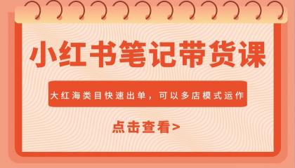 小红书笔记带货课，大红海类目快速出单，市场大，可以多店模式运作-颜夕资源网-第19张图片