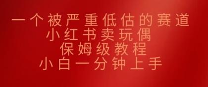 一个被严重低估的赛道，小红书的卖公仔，家庭保姆级实例教程，小白一min入门-颜夕资源网-第19张图片