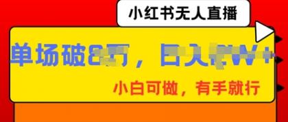 小红书无人直播，纯小白可做，有手就行，单场直播销售额破8w-颜夕资源网-第20张图片