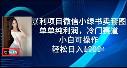 赚钱项目微信小绿书卖套图，仅仅净利润，小众跑道， 小白可实际操作，轻轻松松日入好几张-颜夕资源网-第19张图片