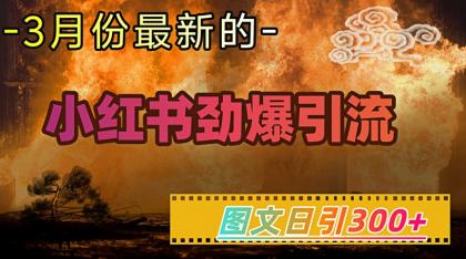 小红书的超劲爆引流方法方式，图文并茂日引300 轻轻松松转现1W-颜夕资源网-第19张图片