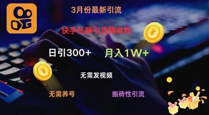 快手视频私信引流方法精准粉，当日奏效不用上传视频打金引流法日引300-颜夕资源网-第19张图片