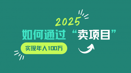 2025年如何通过“卖项目”实现年入100w-颜夕资源网-第19张图片