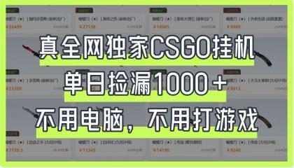 CSGO挂机，单日捡漏1000+，不用电脑，不用养号-颜夕资源网-第19张图片