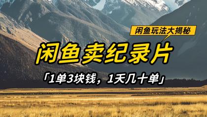 闲鱼卖纪录片，简单又赚钱的小项目，1单3块钱 1天几十单-颜夕资源网-第19张图片