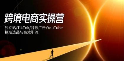 跨境电商实操营：独立站/TikTok/谷歌广告/YouTube，精准选品与高效引流-颜夕资源网-第19张图片