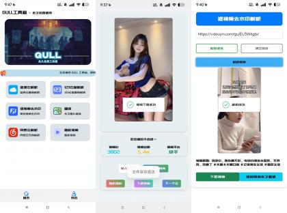 GULL工具箱-视频去水印/网盘解析下载等-颜夕资源网-第19张图片