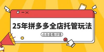 25年拼多多全店托管玩法，矩阵动销裂变玩法如何低风险盈利 新手运营秘籍-颜夕资源网-第19张图片