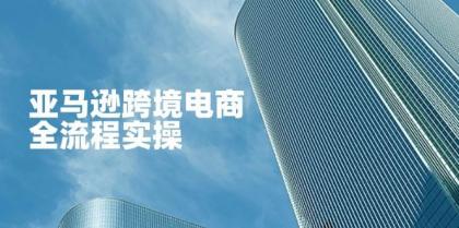 亚马逊跨境电商全流程实操，教你从零开始，掌握店铺运营与广告技巧-颜夕资源网-第19张图片