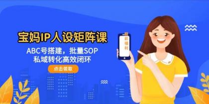 宝妈IP人设矩阵课：ABC号搭建，批量SOP，私域转化高效闭环-颜夕资源网-第19张图片
