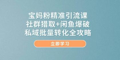 宝妈粉精准引流课，社群猎取+闲鱼爆破，私域批量转化全攻略-颜夕资源网-第19张图片
