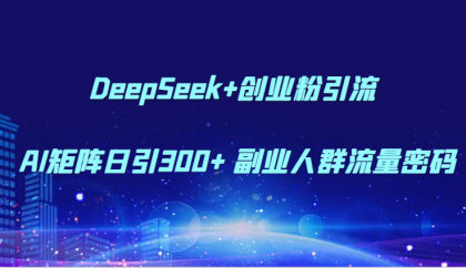 DeepSeek+创业粉引流 AI矩阵日引300+ 副业人群流量密码-颜夕资源网-第19张图片