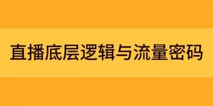 直播底层逻辑与流量密码：定位模型+案例拆解，急速流承接与数据优化全攻略-颜夕资源网-第19张图片