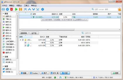 qBittorrent(强大的BT下载工具)v5.1.0.10中文绿色增强版-颜夕资源网-第19张图片