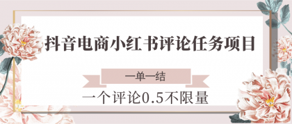 抖音电商小红书评论任务项目，一个评论0.5，一单一结 不限量-颜夕资源网-第19张图片