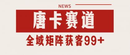 唐卡赛道私域引流获客 自热矩阵SOP日引流99+精准客资-颜夕资源网-第19张图片