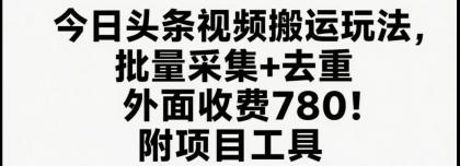 今日头条视频搬运玩法，软件一键去重，轻松日入500+附项目工具-颜夕资源网-第19张图片